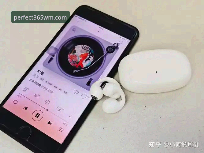 wm体育密码找回功能最新评测：v3.2.1版本操作全指南